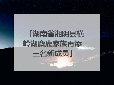 湖南省湘阴县横岭湖麋鹿家族再添三名新成员