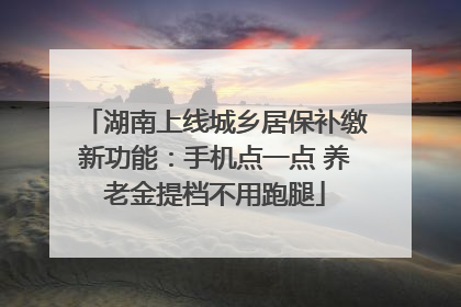 湖南上线城乡居保补缴新功能：手机点一点 养老金提档不用跑腿