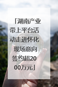 湖南产业带上平台活动走进怀化 现场意向签约超2000万元