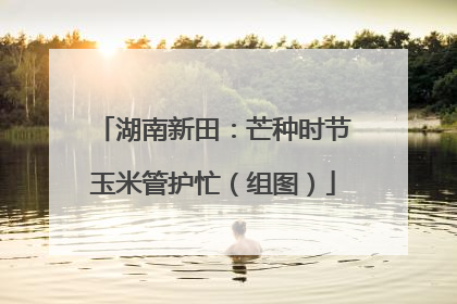 湖南新田：芒种时节玉米管护忙（组图）