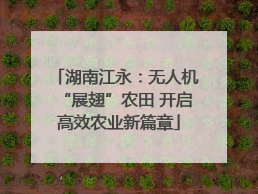 湖南江永：无人机“展翅”农田 开启高效农业新篇章