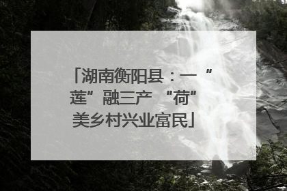 湖南衡阳县：一“莲”融三产 “荷”美乡村兴业富民