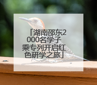湖南邵东2000名学子乘专列开启红色研学之旅