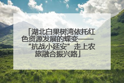湖北白果树湾依托红色资源发展的蝶变——“抗战小延安”走上农旅融合振兴路