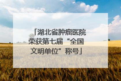 湖北省肿瘤医院荣获第七届“全国文明单位”称号