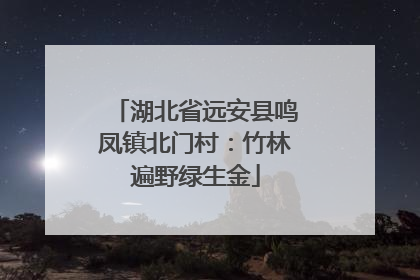 湖北省远安县鸣凤镇北门村：竹林遍野绿生金