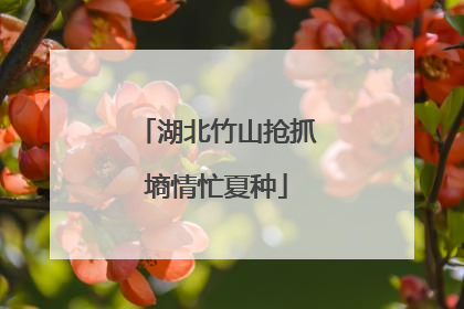 湖北竹山抢抓墒情忙夏种