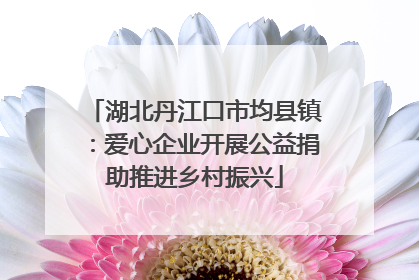 湖北丹江口市均县镇：爱心企业开展公益捐助推进乡村振兴