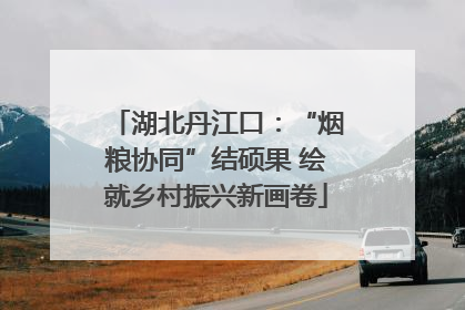 湖北丹江口：“烟粮协同”结硕果 绘就乡村振兴新画卷
