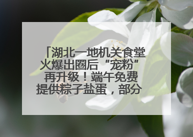 湖北一地机关食堂火爆出圈后“宠粉” 再升级！端午免费提供粽子盐蛋，部分人可八折