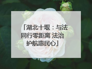 湖北十堰：与法同行零距离 法治护航惠民心