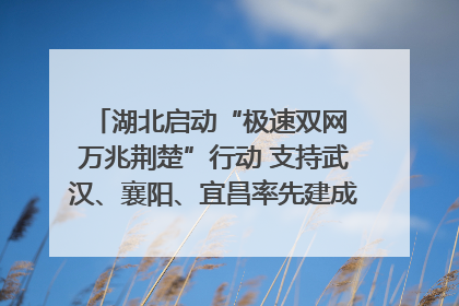 湖北启动“极速双网 万兆荆楚”行动 支持武汉、襄阳、宜昌率先建成“万兆先锋城市”