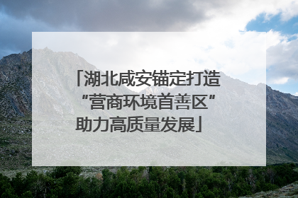 湖北咸安锚定打造“营商环境首善区”助力高质量发展