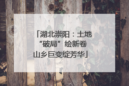 湖北崇阳：土地“破局”绘新卷 山乡巨变绽芳华
