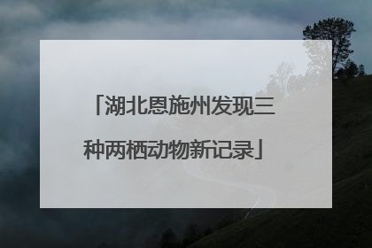湖北恩施州发现三种两栖动物新记录