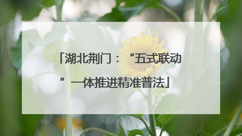 湖北荆门：“五式联动”一体推进精准普法