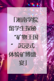 湘南学院留学生探秘“矿物王国” 沉浸式体验矿博盛宴