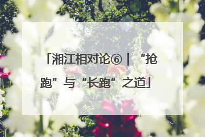 湘江相对论⑥｜“抢跑”与“长跑”之道