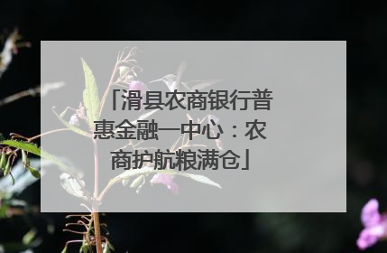 滑县农商银行普惠金融一中心：农商护航粮满仓