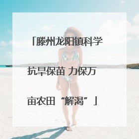 滕州龙阳镇科学抗旱保苗 力保万亩农田“解渴”