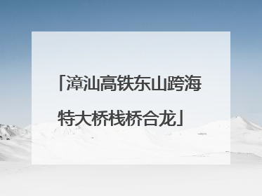 漳汕高铁东山跨海特大桥栈桥合龙