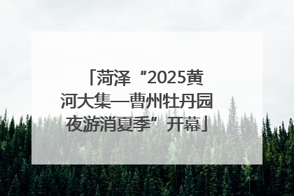 菏泽“2025黄河大集—曹州牡丹园夜游消夏季”开幕