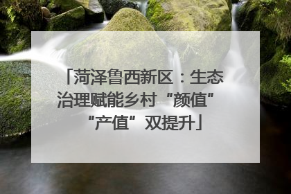 菏泽鲁西新区：生态治理赋能乡村“颜值”“产值”双提升