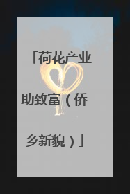 荷花产业助致富（侨乡新貌）