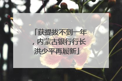 获提拔不到一年，内蒙古银行行长洪少平再履新