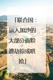 联合国：运入加沙的大部分面粉遭劫掠或哄抢