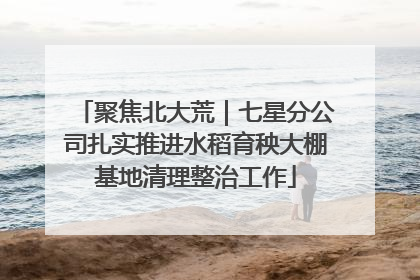 聚焦北大荒｜七星分公司扎实推进水稻育秧大棚基地清理整治工作
