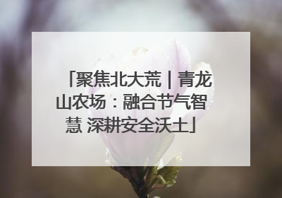 聚焦北大荒｜青龙山农场：融合节气智慧 深耕安全沃土