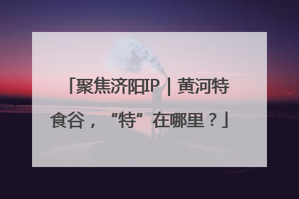 聚焦济阳IP｜黄河特食谷，“特”在哪里？