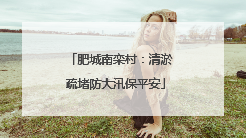 肥城南栾村：清淤疏堵防大汛保平安