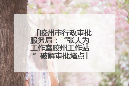 胶州市行政审批服务局：“张大为工作室胶州工作站”破解审批堵点