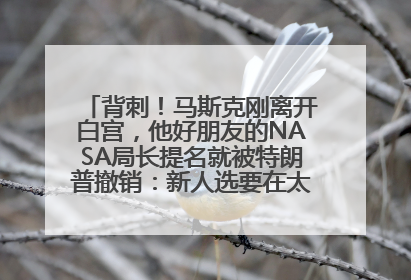 背刺！马斯克刚离开白宫，他好朋友的NASA局长提名就被特朗普撤销：新人选要在太空实现“美国优先”