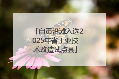 自贡沿滩入选2025年省工业技术改造试点县