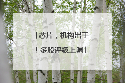 芯片，机构出手！多股评级上调