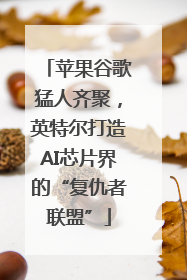 苹果谷歌猛人齐聚，英特尔打造AI芯片界的“复仇者联盟”