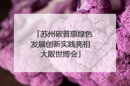 苏州碳普惠绿色发展创新实践亮相大阪世博会