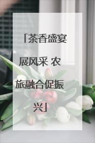 茶香盛宴展风采 农旅融合促振兴