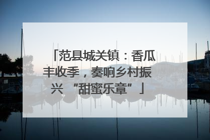范县城关镇：香瓜丰收季，奏响乡村振兴 “甜蜜乐章”
