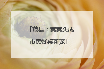 范县：窝窝头成市民餐桌新宠