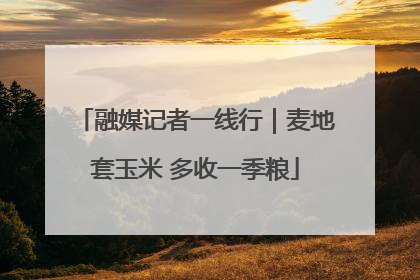 融媒记者一线行｜麦地套玉米 多收一季粮