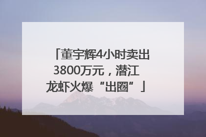 董宇辉4小时卖出3800万元，潜江龙虾火爆“出圈”