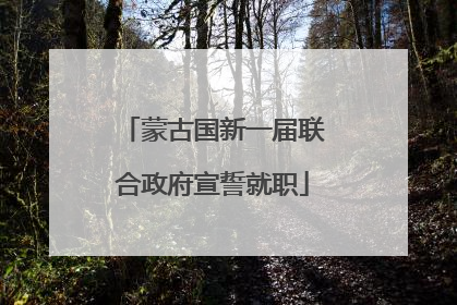 蒙古国新一届联合政府宣誓就职