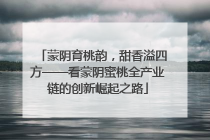 蒙阴育桃韵，甜香溢四方——看蒙阴蜜桃全产业链的创新崛起之路