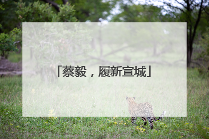 蔡毅，履新宣城