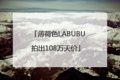 薄荷色LABUBU拍出108万天价