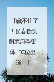 藏不住了！长春街头耐寒月季集体“C位出道”